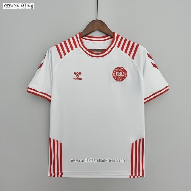 Replica camiseta Dinamarca 2022