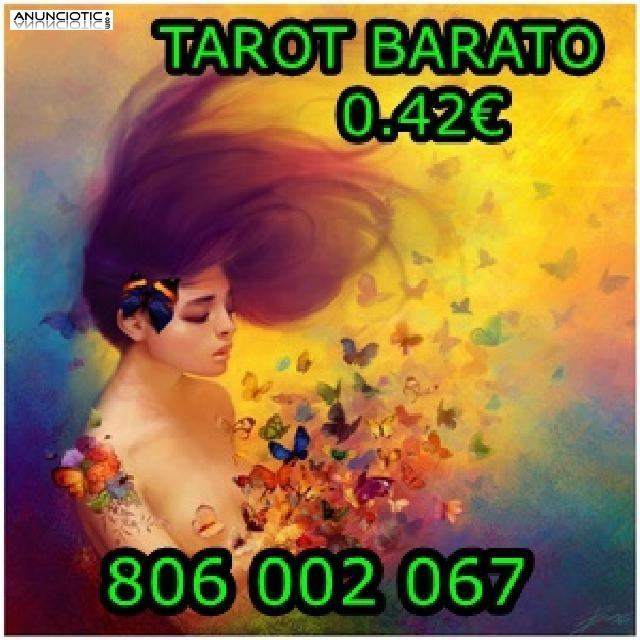 Tarot barato bueno videncia 0.42 ALICE 806 002 067