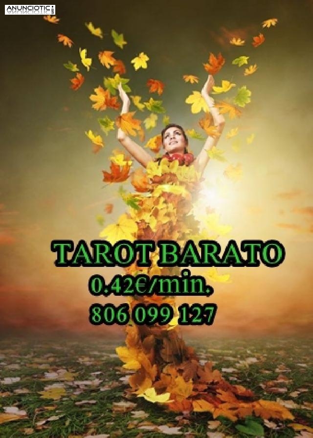 Tarot barato bueno ALEJANDRA 806 099 127 -911 010 058