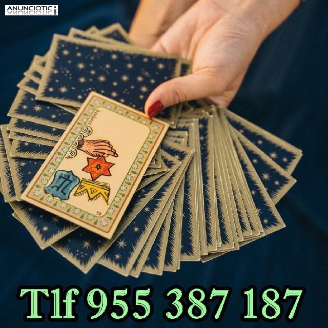 Te contesto a todo Tarot 9 30 min