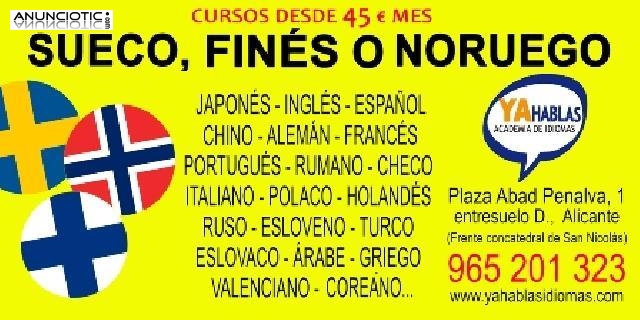 Cursos de sueco, finés, noruego, japonés, chino, coreano y mucho más.