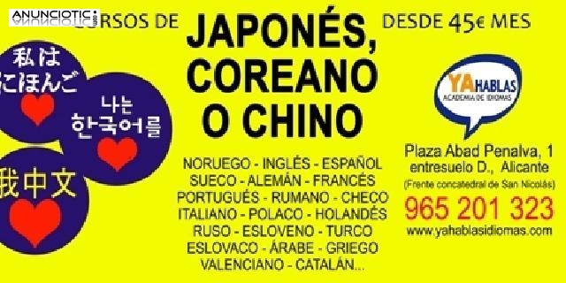 Cursos de sueco, finés, noruego, japonés, chino, coreano y mucho más.