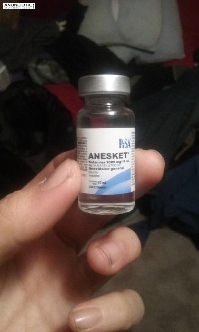 Calidad superior pura Anesket 1000mg / 10ml para la venta