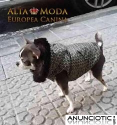 Ropa para Perros Chihuahua