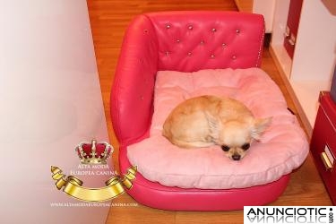 Sofas de Lujo para perros