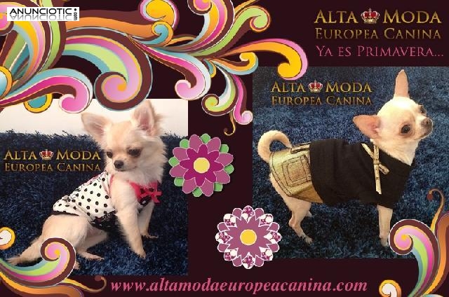 Vestidos para perritas