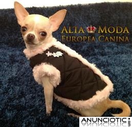 Ropa para Perros, Ofertas 2 x 1