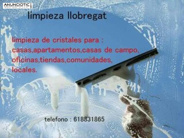 limpieza de cristales llobregat