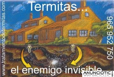 Expertos en eliminar Termitas en Alicante, Denia, Torrevieja, Elche, Javea