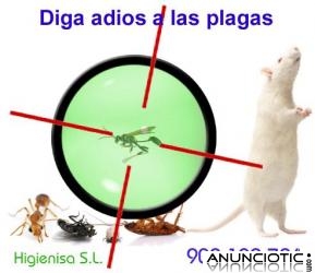 Eliminar Hormigas, Desinsectacion Hormigas, Fumigar Hormigas. Alicante, Denia, Elche, Torrevieja