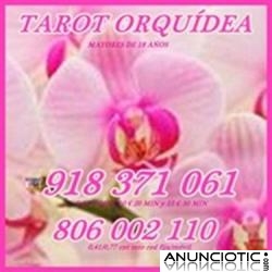  TAROT  ECONÓMICO ORQUÍDEA VISA 918 371 061  DESDE 5 10 MTOS. 806  002 110 BARATO SÓLO 0,