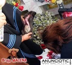 MALENA ÚNICA QUE REALIZA AMARRES DE UN DÍA A OTRO.