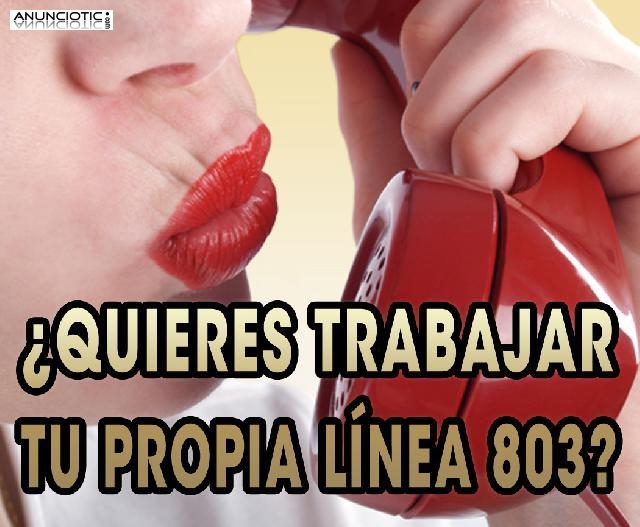 SE BUSCA CHICA PARA LLEVAR LINEA EROTICA 803 DESDE CASA - ALICANTE