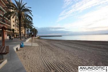 TORREVIEJA,APTO CERCA PLAYA 2 HABS SOLAMENTE 60.000E