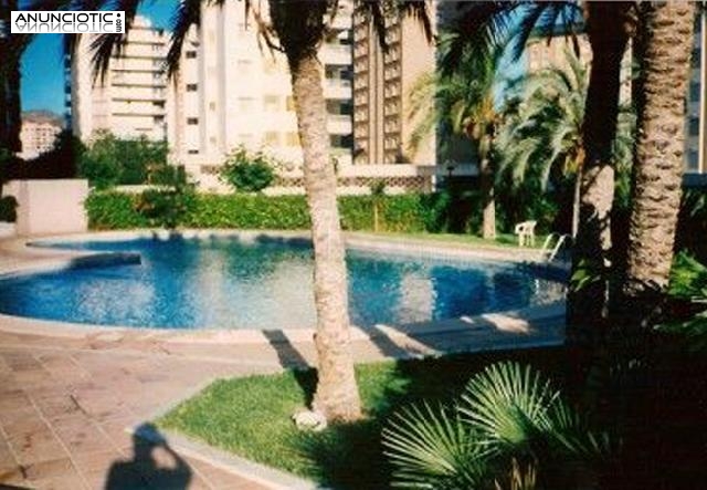 Benidorm, se alquila bonito estudio playa levante