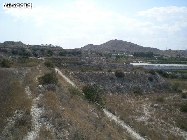 Parcela edificable crevillente