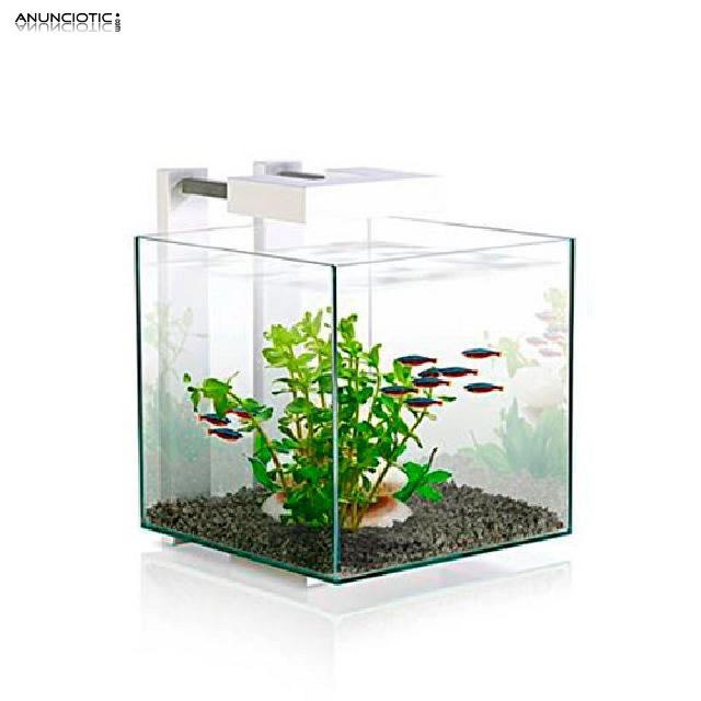 Acuario Nexus Pure Cube