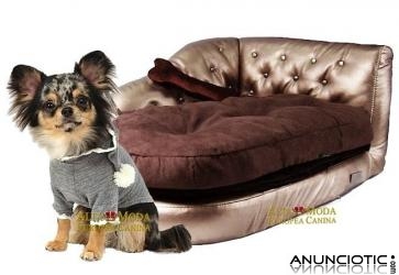 Mira nuestros nuevos sofas de lujo para perros