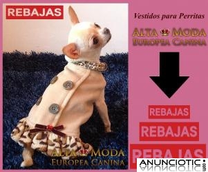 Vestidos para Perritas, ropa perros con descuento