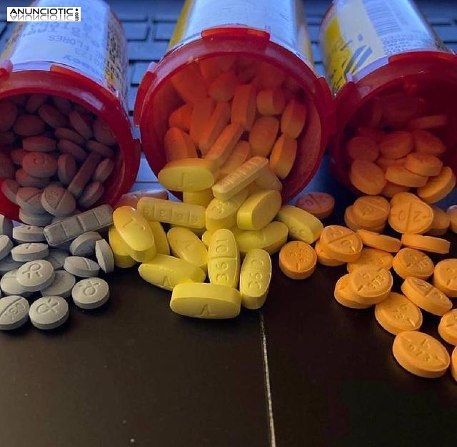 Mdma, LSD, Adipex, Alprazolam, Ritalin, Adderall, Rohypnol y Molly