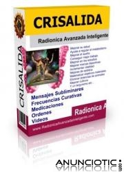 RADIONICA / CRISALIDA