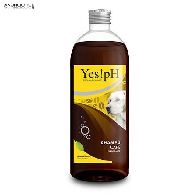 Yes!pH Champú energizante de café para perros y gatos