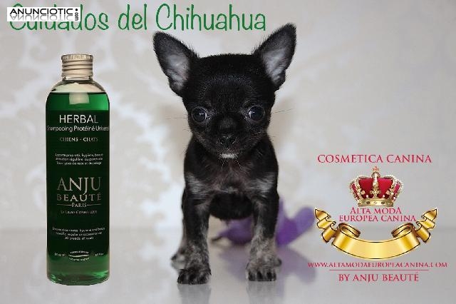 Cosmetica Canina para Perros