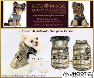 Ropa de Abrigo para Perros, Jerseys y abrigos perros