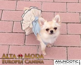 Ropa para Perros, Camisetas, Vestidos, Sudaderas