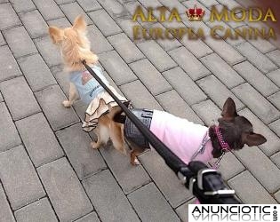 Ropa para Chihuahuas, Ropa Chihuahuas