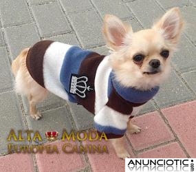 Ropa para Perros, Jerseys para Perros