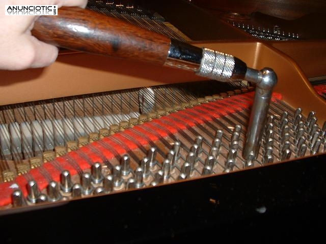 Afinador de Pianos en Asturias