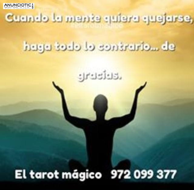 .TAROT MAGICO 5 EUR 15 MIN