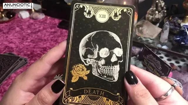 Soñar Con Gusanos De Basura, Tarot Exacto Del Amor