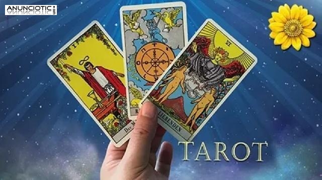 Significado De Soñar Con Encontrar Dinero, Tarot Completo Amor