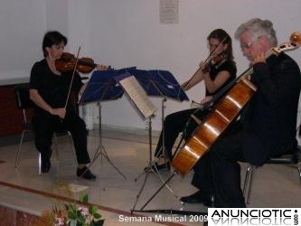 Musica para Bodas en Zafra 