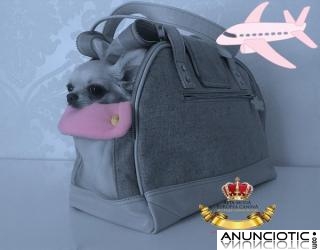 Bolsos de Viaje para Perros PequeÃ±os