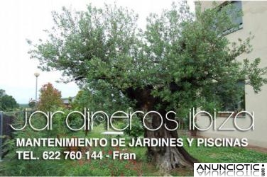 Jardineros Ibiza - Mantenimento de Jardines, Piscinas y Comunidad Ibiza
