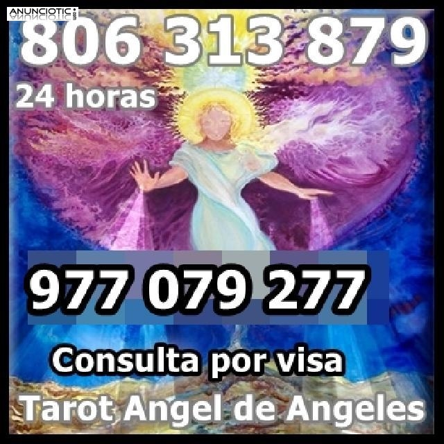 tarot gabinete economico 806 313 879