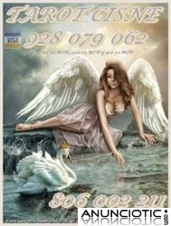 Visa tarot de España Cisne 5 10min  928 079 062 online. Barato 806 002 211   por sólo 0,4