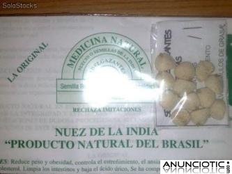 nuez de la india