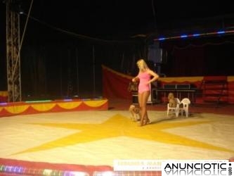 PIRAÑA SHOW CIRCO EN VILASAR DE DALT