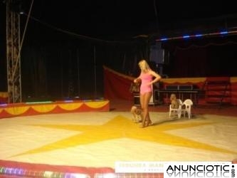 SANT FELIU DE CODINES EL GRAN CIRCO PIRAÑA SHOW