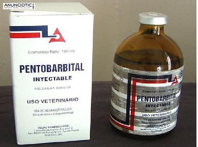 Obtenga pentobarbital ahora