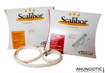   COLLAR ANTIPARASITARIO SCALIBOR Desde 16,80 