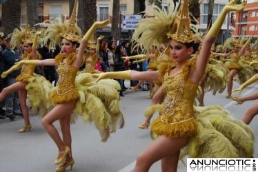 Plumas para Carnavales