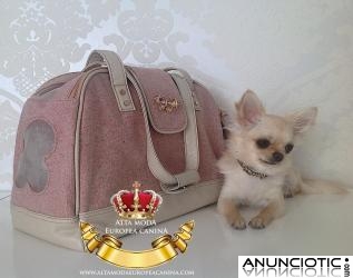 Bolsos de Lujo para perros pequeÃ±os