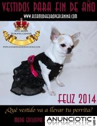 Que vestido llevara tu perrita en fin de año?