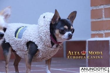 Moda Canina, Rebajas ropa perros