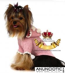 Ropa para Yorkshire Terrier